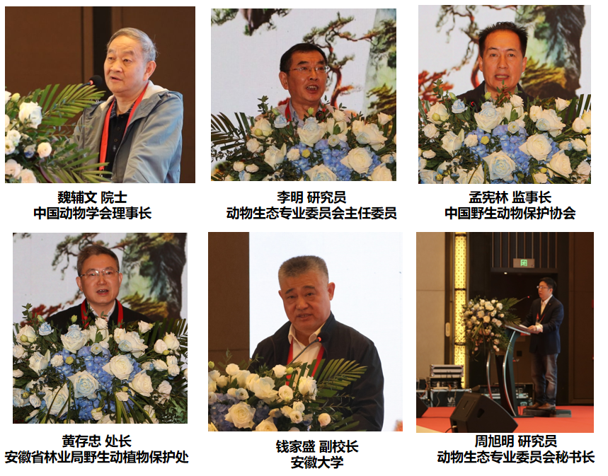 微信图片_20241211182333.png