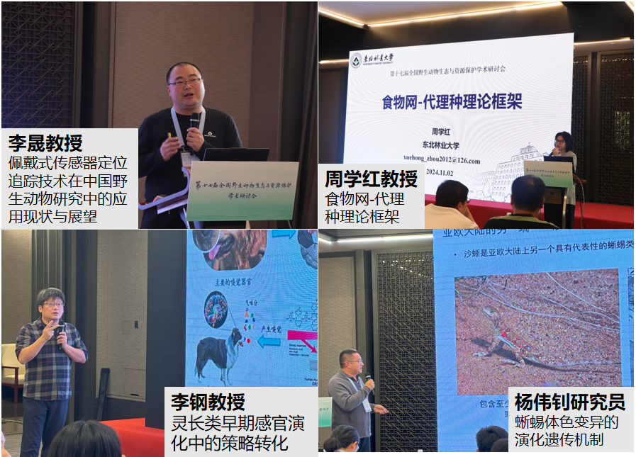 微信图片_20241211182341.png