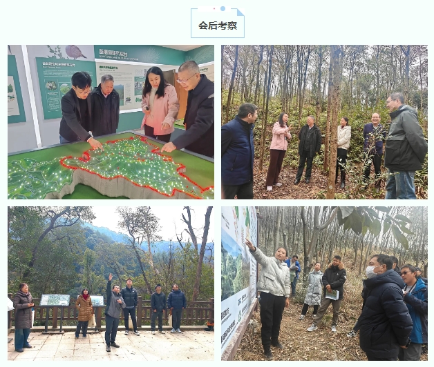 微信截图_20250116174256.png